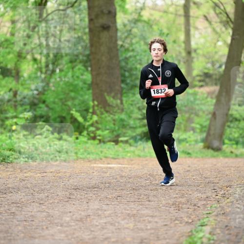19.04.2026 - Hammer Lauf Dr. Thomas Lammeyer http://msf.ph/oto/9555754 19.04.2026 12:37:08 Laufen 1832 meine-sportfotos.de