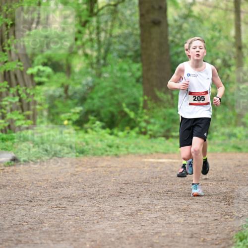 19.04.2026 - Hammer Lauf Dr. Thomas Lammeyer http://msf.ph/oto/9555786 19.04.2026 12:37:12 Laufen 205 meine-sportfotos.de