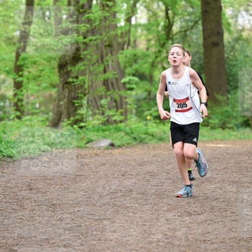 19.04.2026 - Hammer Lauf Dr. Thomas Lammeyer http://msf.ph/oto/9555799 19.04.2026 12:37:13 Laufen 205, 709 meine-sportfotos.de