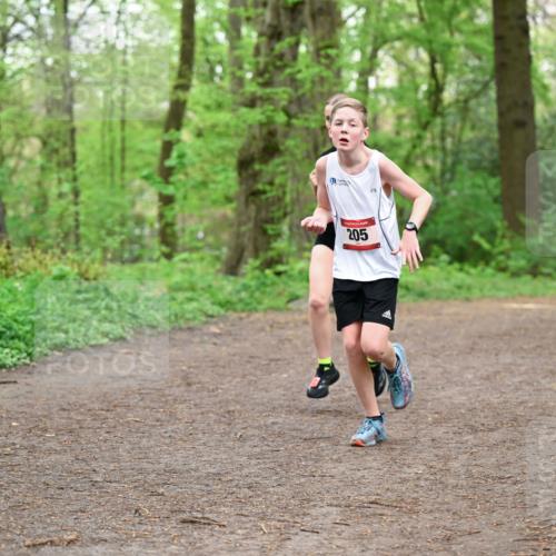 19.04.2026 - Hammer Lauf Dr. Thomas Lammeyer http://msf.ph/oto/9555810 19.04.2026 12:37:14 Laufen 205 meine-sportfotos.de