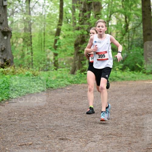 19.04.2026 - Hammer Lauf Dr. Thomas Lammeyer http://msf.ph/oto/9555812 19.04.2026 12:37:14 Laufen 205, 709 meine-sportfotos.de