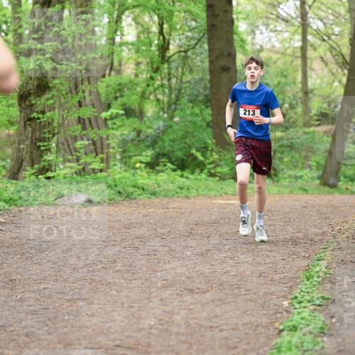 19.04.2026 - Hammer Lauf Dr. Thomas Lammeyer http://msf.ph/oto/9555843 19.04.2026 12:37:18 Laufen 213, 1932 meine-sportfotos.de