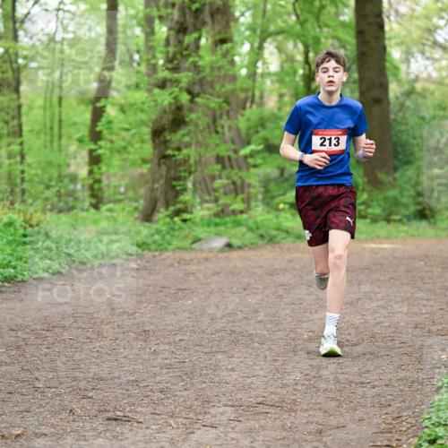 19.04.2026 - Hammer Lauf Dr. Thomas Lammeyer http://msf.ph/oto/9555861 19.04.2026 12:37:19 Laufen 213 meine-sportfotos.de