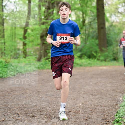 19.04.2026 - Hammer Lauf Dr. Thomas Lammeyer http://msf.ph/oto/9555870 19.04.2026 12:37:20 Laufen 213 meine-sportfotos.de