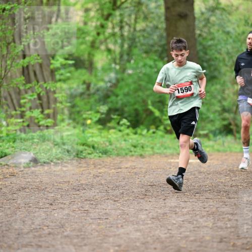19.04.2026 - Hammer Lauf Dr. Thomas Lammeyer http://msf.ph/oto/9555936 19.04.2026 12:37:33 Laufen 1590, 721 meine-sportfotos.de