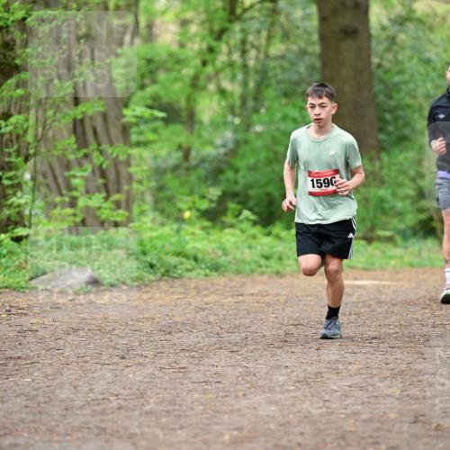 19.04.2026 - Hammer Lauf Dr. Thomas Lammeyer http://msf.ph/oto/9555938 19.04.2026 12:37:34 Laufen 1590, 721 meine-sportfotos.de