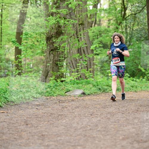 19.04.2026 - Hammer Lauf Dr. Thomas Lammeyer http://msf.ph/oto/9555985 19.04.2026 12:37:39 Laufen 1919, 339 meine-sportfotos.de