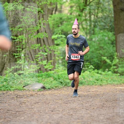 19.04.2026 - Hammer Lauf Dr. Thomas Lammeyer http://msf.ph/oto/9556036 19.04.2026 12:37:53 Laufen 1347 meine-sportfotos.de