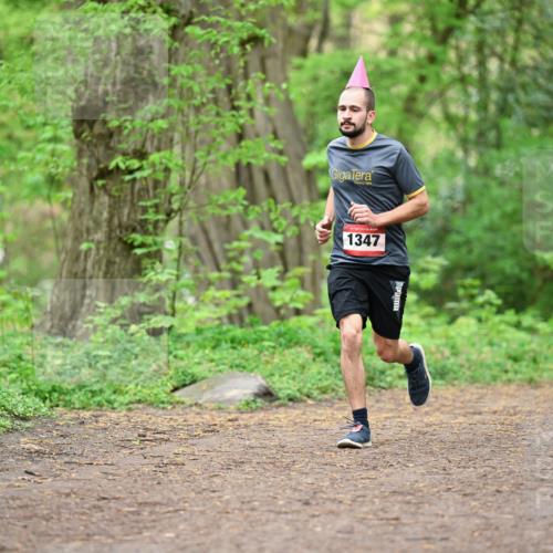 19.04.2026 - Hammer Lauf Dr. Thomas Lammeyer http://msf.ph/oto/9556038 19.04.2026 12:37:53 Laufen 1347 meine-sportfotos.de