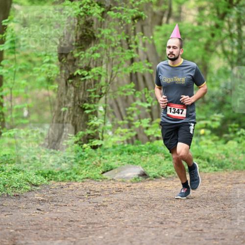 19.04.2026 - Hammer Lauf Dr. Thomas Lammeyer http://msf.ph/oto/9556041 19.04.2026 12:37:53 Laufen 1347 meine-sportfotos.de