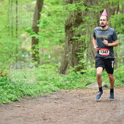 19.04.2026 - Hammer Lauf Dr. Thomas Lammeyer http://msf.ph/oto/9556043 19.04.2026 12:37:54 Laufen 1347 meine-sportfotos.de