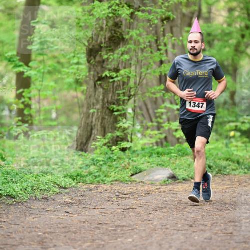 19.04.2026 - Hammer Lauf Dr. Thomas Lammeyer http://msf.ph/oto/9556044 19.04.2026 12:37:53 Laufen 1347 meine-sportfotos.de