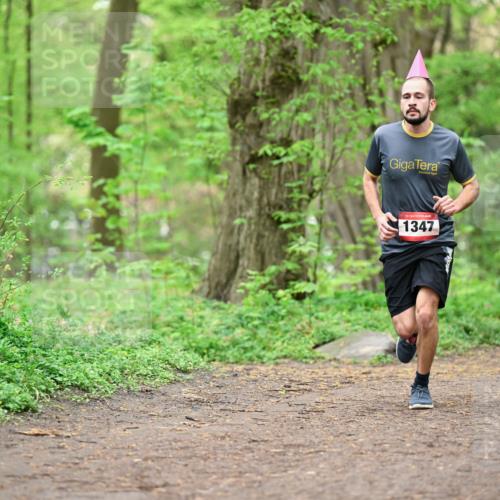 19.04.2026 - Hammer Lauf Dr. Thomas Lammeyer http://msf.ph/oto/9556047 19.04.2026 12:37:53 Laufen 1347 meine-sportfotos.de