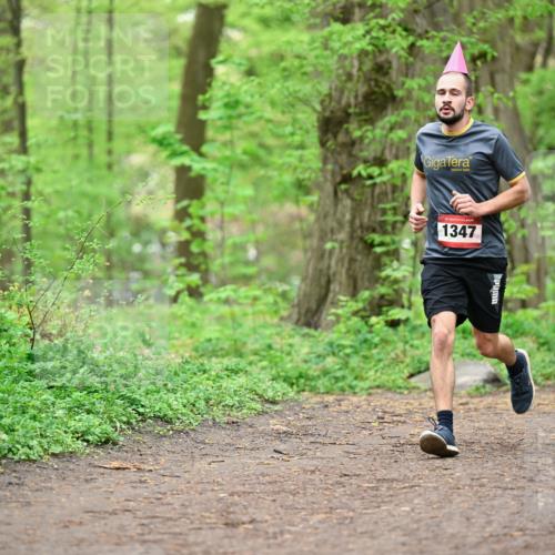 19.04.2026 - Hammer Lauf Dr. Thomas Lammeyer http://msf.ph/oto/9556048 19.04.2026 12:37:54 Laufen 1347 meine-sportfotos.de