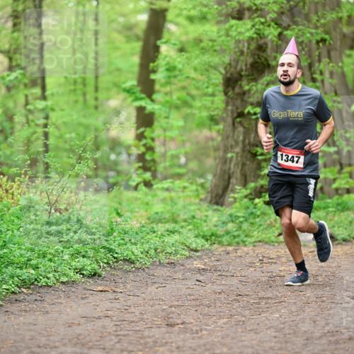 19.04.2026 - Hammer Lauf Dr. Thomas Lammeyer http://msf.ph/oto/9556050 19.04.2026 12:37:54 Laufen 1347 meine-sportfotos.de