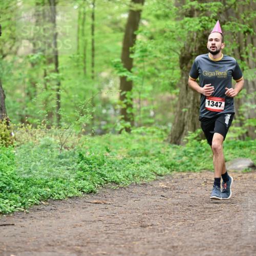19.04.2026 - Hammer Lauf Dr. Thomas Lammeyer http://msf.ph/oto/9556052 19.04.2026 12:37:54 Laufen 1347 meine-sportfotos.de
