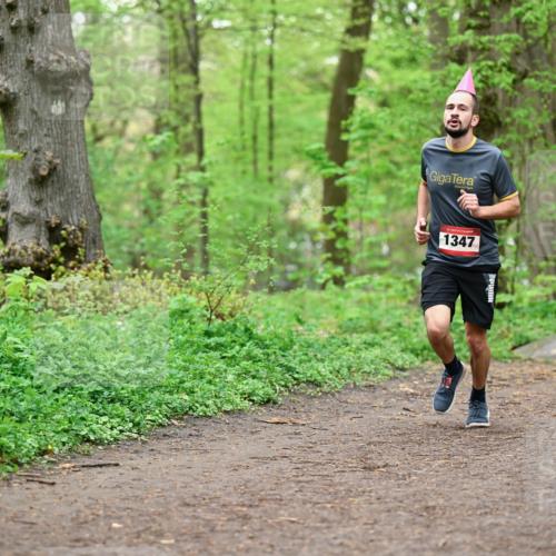 19.04.2026 - Hammer Lauf Dr. Thomas Lammeyer http://msf.ph/oto/9556056 19.04.2026 12:37:54 Laufen 1347 meine-sportfotos.de