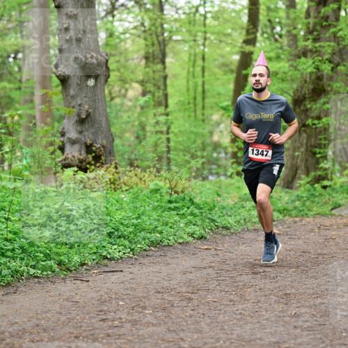 19.04.2026 - Hammer Lauf Dr. Thomas Lammeyer http://msf.ph/oto/9556059 19.04.2026 12:37:55 Laufen 1347 meine-sportfotos.de