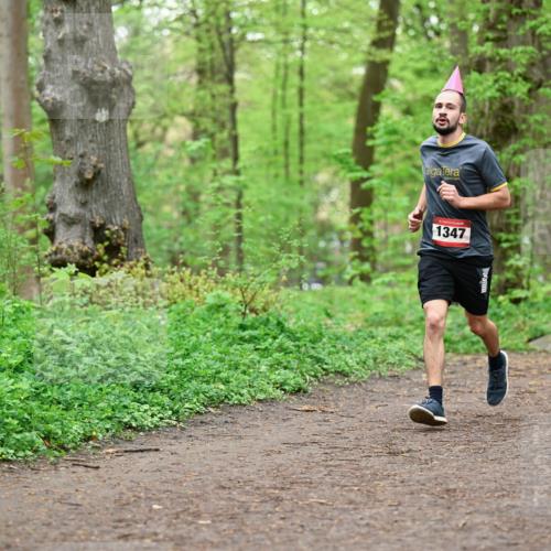 19.04.2026 - Hammer Lauf Dr. Thomas Lammeyer http://msf.ph/oto/9556061 19.04.2026 12:37:54 Laufen 1347 meine-sportfotos.de