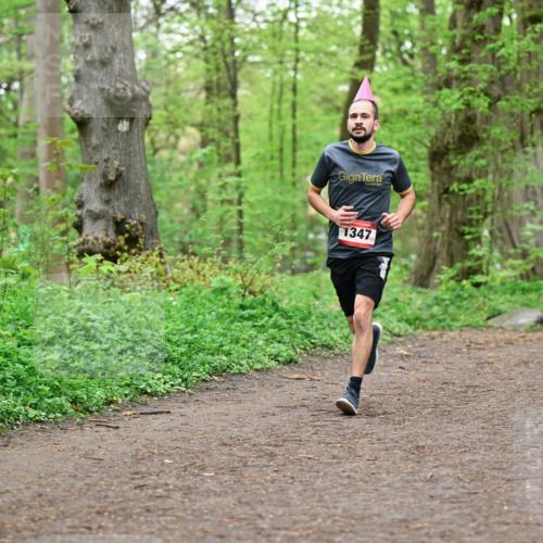 19.04.2026 - Hammer Lauf Dr. Thomas Lammeyer http://msf.ph/oto/9556062 19.04.2026 12:37:55 Laufen 1347 meine-sportfotos.de