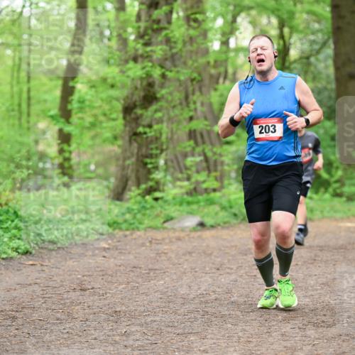 19.04.2026 - Hammer Lauf Dr. Thomas Lammeyer http://msf.ph/oto/9556135 19.04.2026 12:38:08 Laufen 203 meine-sportfotos.de