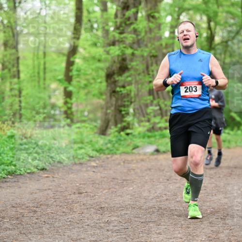 19.04.2026 - Hammer Lauf Dr. Thomas Lammeyer http://msf.ph/oto/9556139 19.04.2026 12:38:08 Laufen 203 meine-sportfotos.de