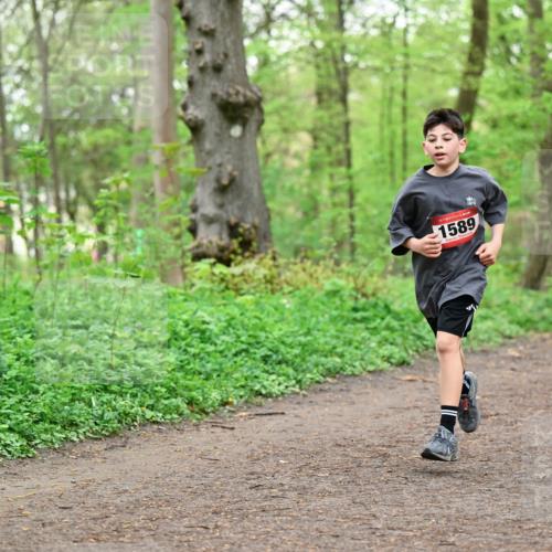 19.04.2026 - Hammer Lauf Dr. Thomas Lammeyer http://msf.ph/oto/9556161 19.04.2026 12:38:11 Laufen 1589 meine-sportfotos.de