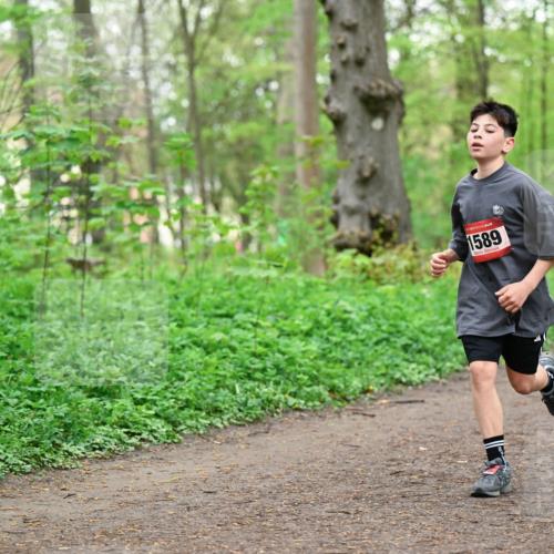 19.04.2026 - Hammer Lauf Dr. Thomas Lammeyer http://msf.ph/oto/9556163 19.04.2026 12:38:11 Laufen 1589 meine-sportfotos.de