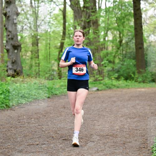 19.04.2026 - Hammer Lauf Dr. Thomas Lammeyer http://msf.ph/oto/9556181 19.04.2026 12:38:13 Laufen 346 meine-sportfotos.de