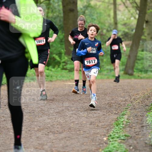 19.04.2026 - Hammer Lauf Dr. Thomas Lammeyer http://msf.ph/oto/9556196 19.04.2026 12:38:20 Laufen 1801, 1617 meine-sportfotos.de