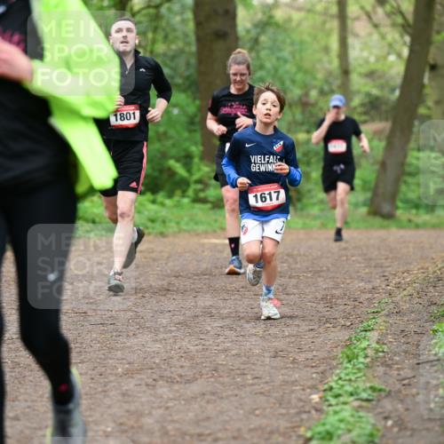 19.04.2026 - Hammer Lauf Dr. Thomas Lammeyer http://msf.ph/oto/9556200 19.04.2026 12:38:20 Laufen 1801, 1617 meine-sportfotos.de