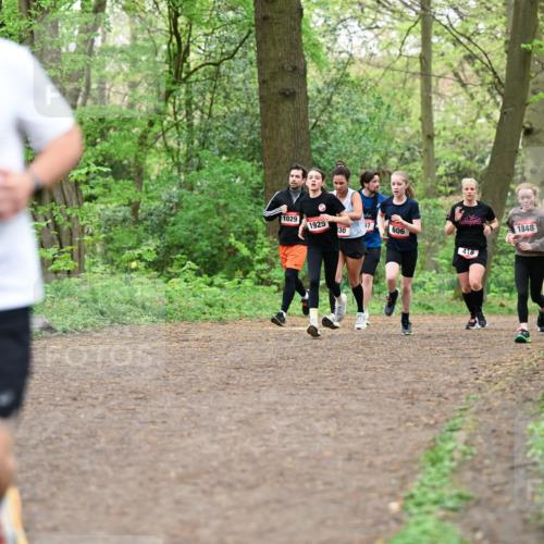 19.04.2026 - Hammer Lauf Dr. Thomas Lammeyer http://msf.ph/oto/9556287 19.04.2026 12:38:31 Laufen 418, 1848, 1874 meine-sportfotos.de