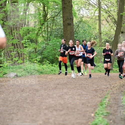 19.04.2026 - Hammer Lauf Dr. Thomas Lammeyer http://msf.ph/oto/9556289 19.04.2026 12:38:31 Laufen 11029, 1925, 697, 830, 606, 418 meine-sportfotos.de