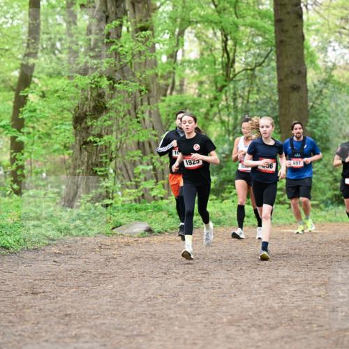 19.04.2026 - Hammer Lauf Dr. Thomas Lammeyer http://msf.ph/oto/9556313 19.04.2026 12:38:33 Laufen 1925, 850, 697, 1848, 056 meine-sportfotos.de