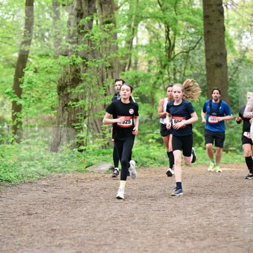 19.04.2026 - Hammer Lauf Dr. Thomas Lammeyer http://msf.ph/oto/9556319 19.04.2026 12:38:34 Laufen 925, 600, 697, 1848 meine-sportfotos.de