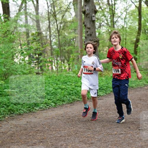 19.04.2026 - Hammer Lauf Dr. Thomas Lammeyer http://msf.ph/oto/9556423 19.04.2026 12:38:44 Laufen 1160, 1159, 1353 meine-sportfotos.de