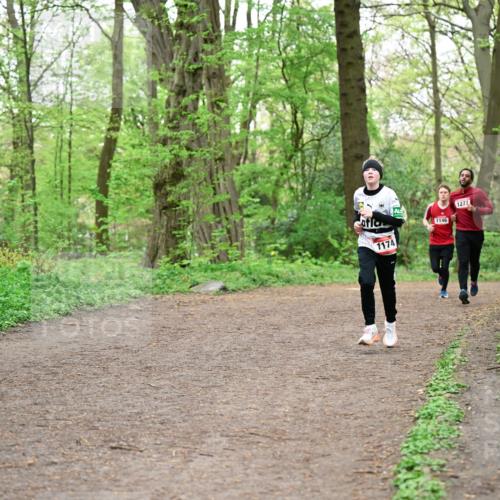 19.04.2026 - Hammer Lauf Dr. Thomas Lammeyer http://msf.ph/oto/9556445 19.04.2026 12:38:48 Laufen 1174, 1146, 1277 meine-sportfotos.de