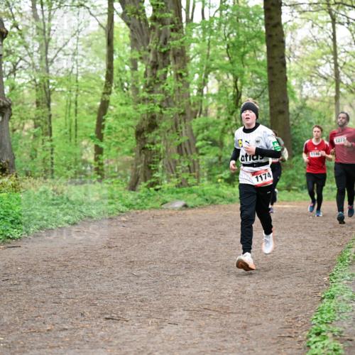 19.04.2026 - Hammer Lauf Dr. Thomas Lammeyer http://msf.ph/oto/9556455 19.04.2026 12:38:48 Laufen 1174, 1146, 1277 meine-sportfotos.de