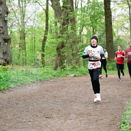 19.04.2026 - Hammer Lauf Dr. Thomas Lammeyer http://msf.ph/oto/9556459 19.04.2026 12:38:49 Laufen 1174, 1146, 1277 meine-sportfotos.de