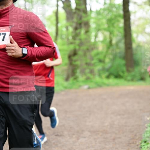 19.04.2026 - Hammer Lauf Dr. Thomas Lammeyer http://msf.ph/oto/9556493 19.04.2026 12:38:53 Laufen 1277 meine-sportfotos.de