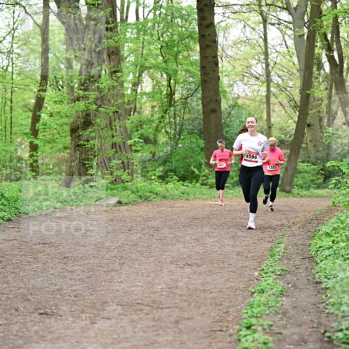 19.04.2026 - Hammer Lauf Dr. Thomas Lammeyer http://msf.ph/oto/9556504 19.04.2026 12:38:54 Laufen 451, 1594, 1203 meine-sportfotos.de