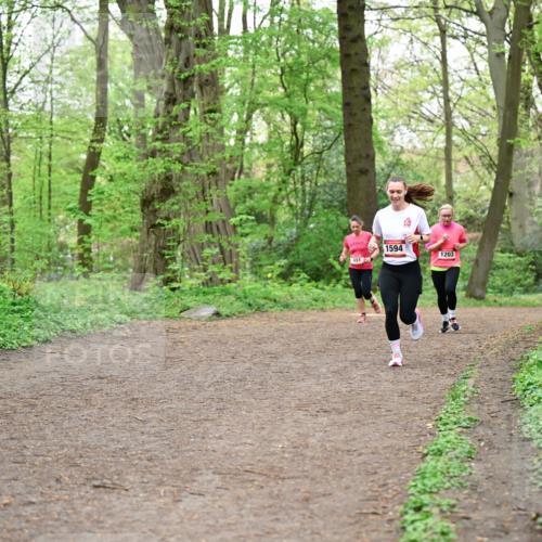 19.04.2026 - Hammer Lauf Dr. Thomas Lammeyer http://msf.ph/oto/9556511 19.04.2026 12:38:55 Laufen 451, 1594, 1203 meine-sportfotos.de