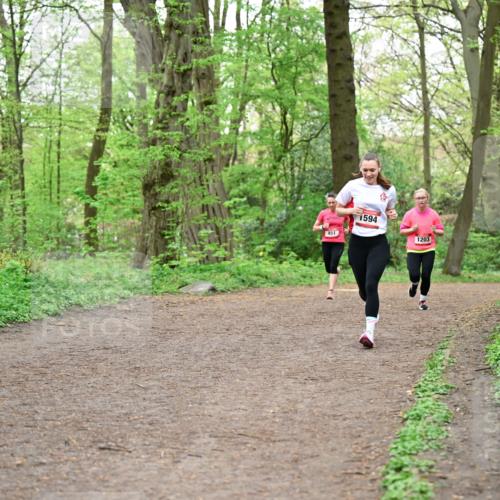 19.04.2026 - Hammer Lauf Dr. Thomas Lammeyer http://msf.ph/oto/9556514 19.04.2026 12:38:55 Laufen 451, 1594, 1203 meine-sportfotos.de
