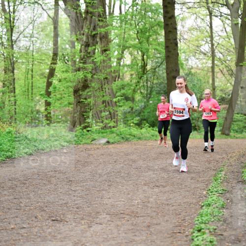 19.04.2026 - Hammer Lauf Dr. Thomas Lammeyer http://msf.ph/oto/9556516 19.04.2026 12:38:55 Laufen 451, 1594, 1203 meine-sportfotos.de