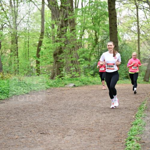 19.04.2026 - Hammer Lauf Dr. Thomas Lammeyer http://msf.ph/oto/9556521 19.04.2026 12:38:55 Laufen 451, 1594, 1203 meine-sportfotos.de