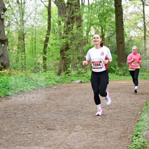 19.04.2026 - Hammer Lauf Dr. Thomas Lammeyer http://msf.ph/oto/9556526 19.04.2026 12:38:56 Laufen 1594, 1203 meine-sportfotos.de