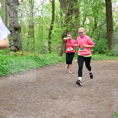19.04.2026 - Hammer Lauf Dr. Thomas Lammeyer http://msf.ph/oto/9556539 19.04.2026 12:38:58 Laufen 451, 1203 meine-sportfotos.de