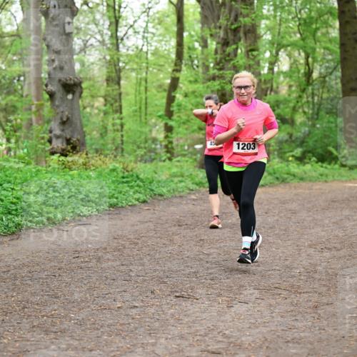19.04.2026 - Hammer Lauf Dr. Thomas Lammeyer http://msf.ph/oto/9556544 19.04.2026 12:38:58 Laufen 1203 meine-sportfotos.de