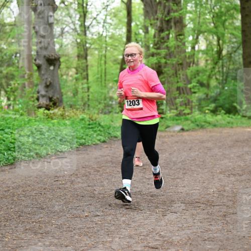 19.04.2026 - Hammer Lauf Dr. Thomas Lammeyer http://msf.ph/oto/9556549 19.04.2026 12:38:58 Laufen 1203 meine-sportfotos.de