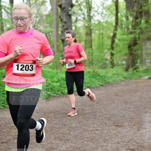 19.04.2026 - Hammer Lauf Dr. Thomas Lammeyer http://msf.ph/oto/9556553 19.04.2026 12:38:59 Laufen 1203 meine-sportfotos.de